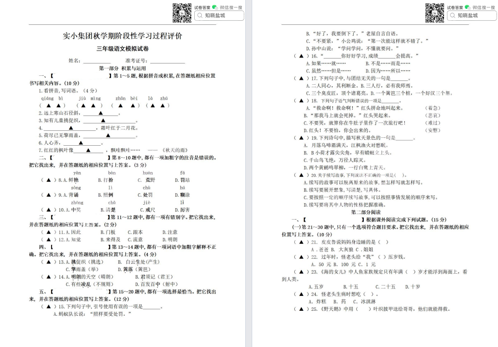 盐城实小|盐都联盟|东台|滨海小学三年级上学期期中试卷（11月）合集