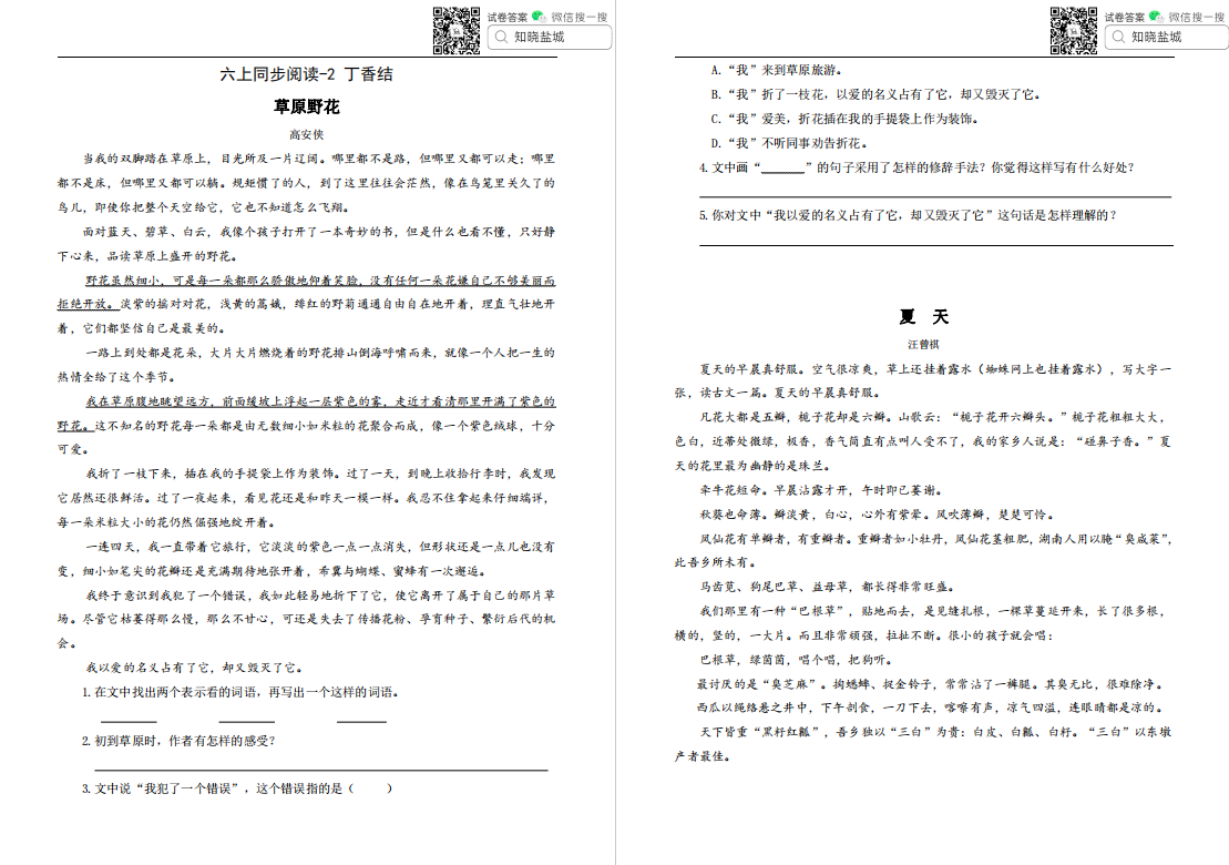 盐城名校六年级同步阅读（上册）