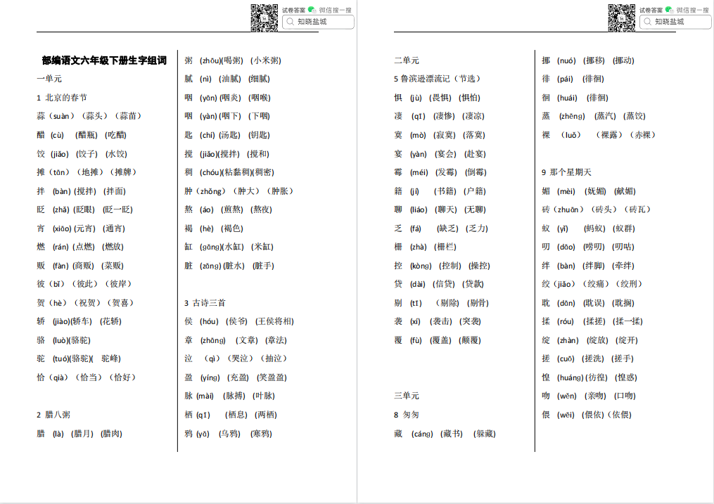 盐城名校小学六年级知识点（下上册）合集