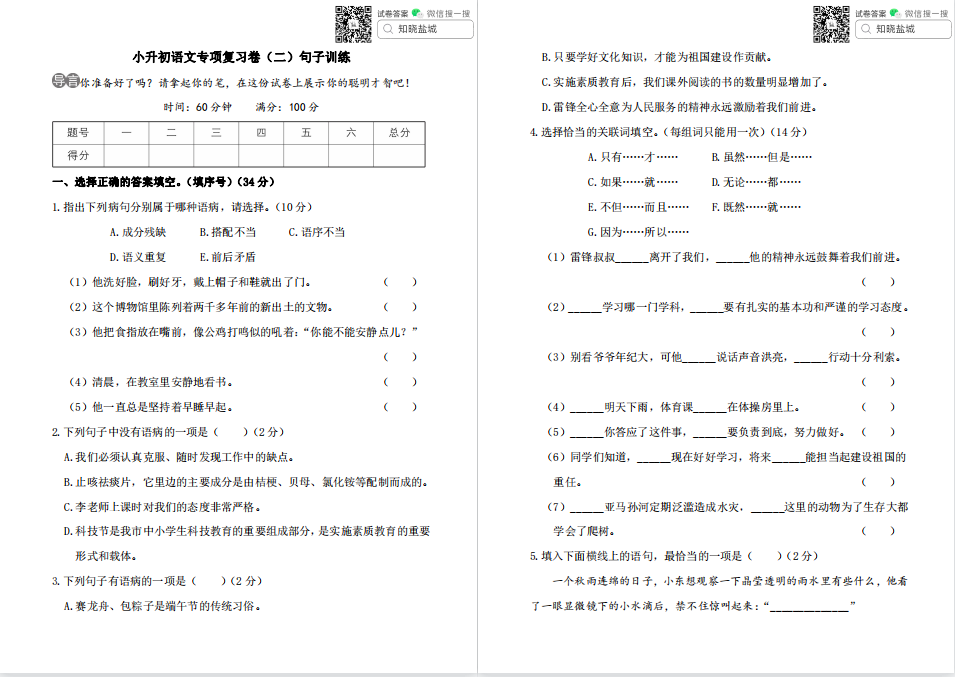 盐城名校小升初语文专项练习