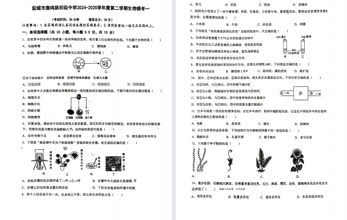 盐城各区县重点初中初二生物模拟试卷（25年合集）