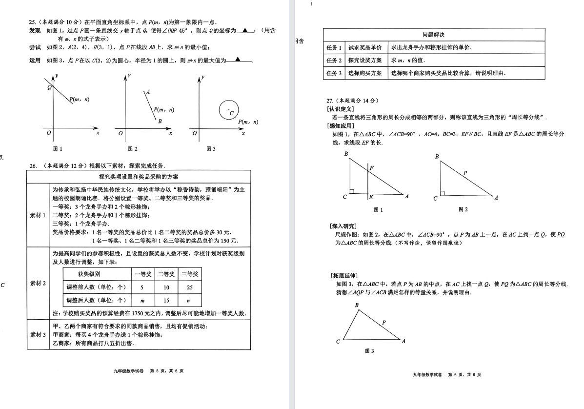 【射阳实验中学】初三数学模拟卷（25年5月28日） 