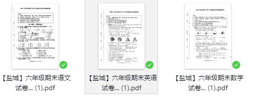 2025年盐城市区小升初语数外统考试卷（25年6月）